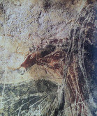 ラスコー洞窟の壁画