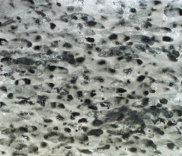 相澤哲也《天の水》